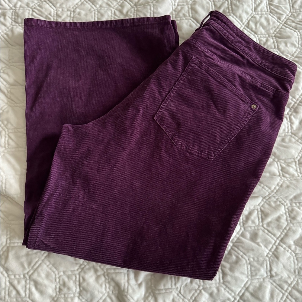 P EUC Anthropologie Pilcro The Annie Wide-Leg Corduroy Jeans Cinnamon 16W.